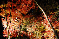 101101mikatuki.jpg