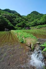 被災地に心を寄せて