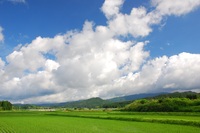 “さなぶり”の効用