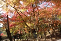 1411-7.jpg