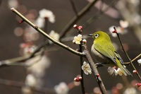 春の気配