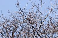 IMG_8989.JPG