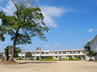 羽月小学校