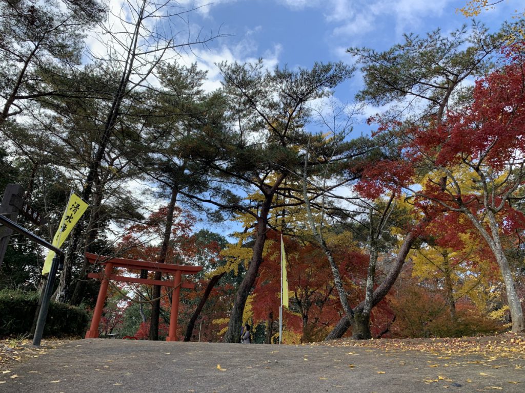 曽木の滝は紅葉が見頃です！