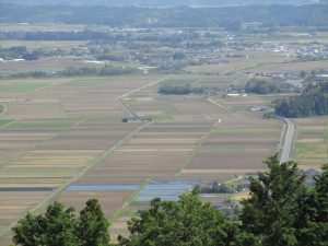 田植うる喜び