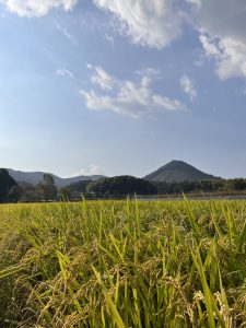 伊佐の風景