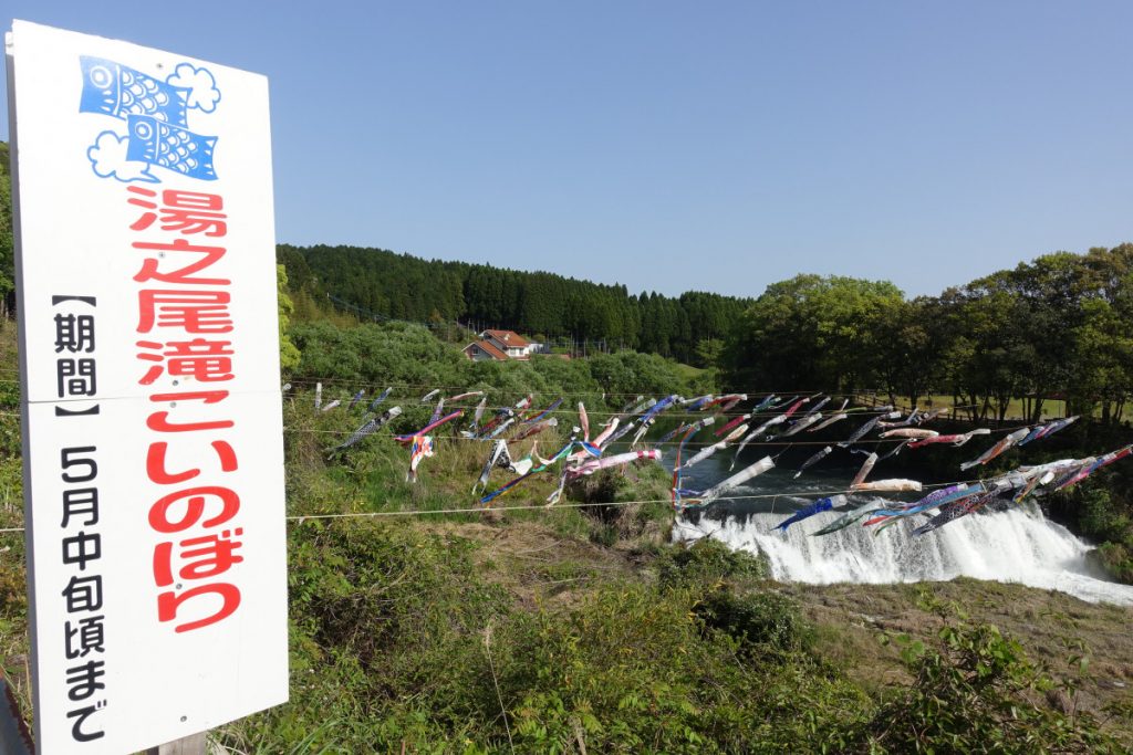 【5/14（日）まで】湯之尾滝 こいのぼり