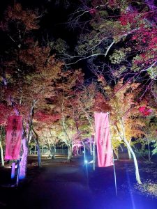 【11/18（土）～26（日）18～21時】曽木の滝公園 「紅葉」ライトアップ 2023