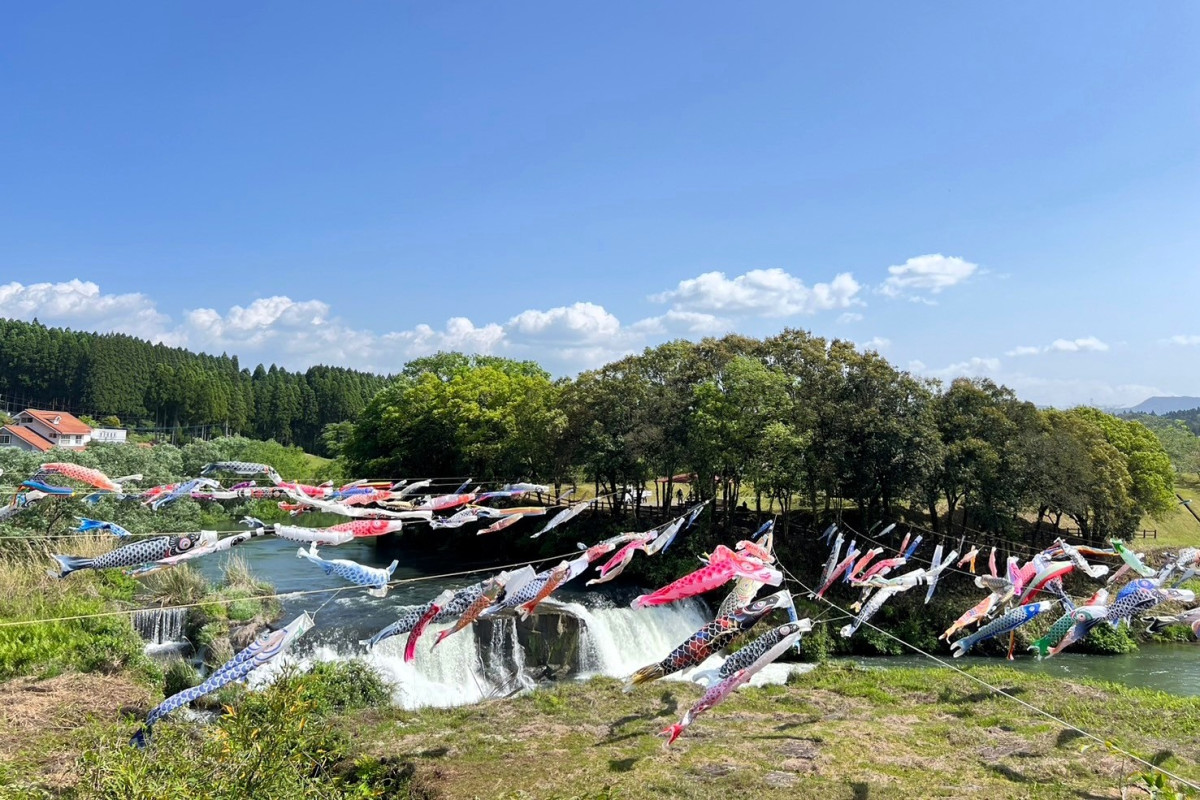 【５/12（日）まで】湯之尾滝の鯉のぼり