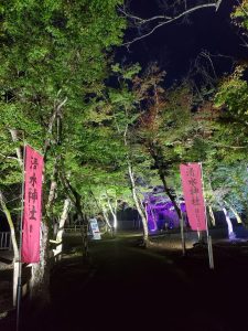 【11/16（土）～24（日）18～21時】曽木の滝公園 「紅葉」ライトアップ 2024