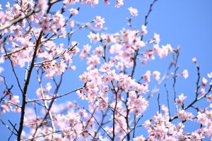 別れと出会い