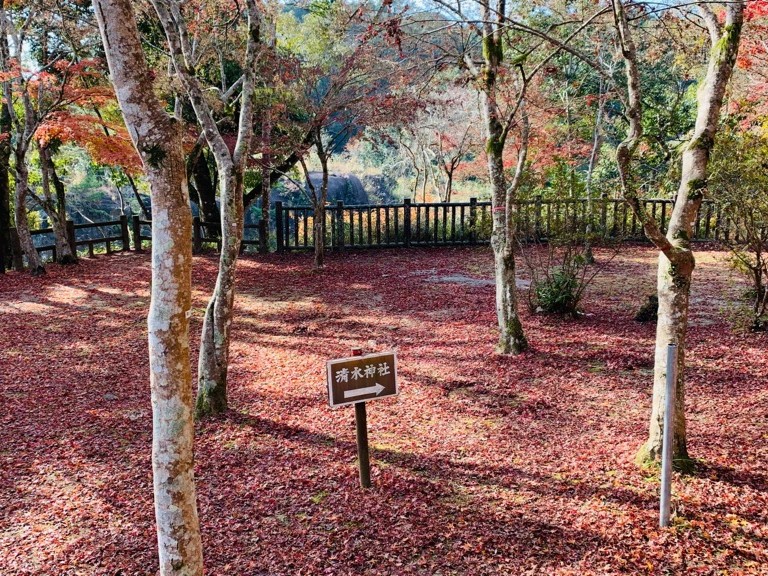 【12/10(水)更新】曽木の滝公園 紅葉情報 2025 ーシーズン終了ー