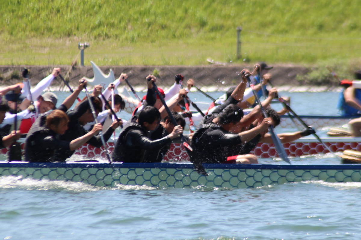 【申し込み開始！】いさドラゴンカップ2026